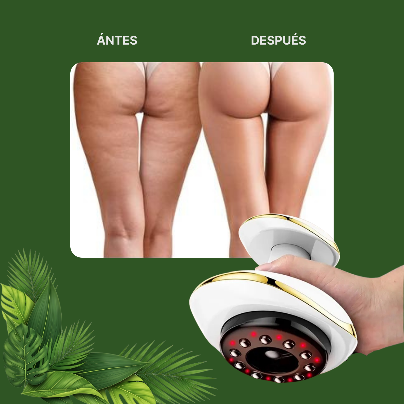 Masajeador anticelulítico