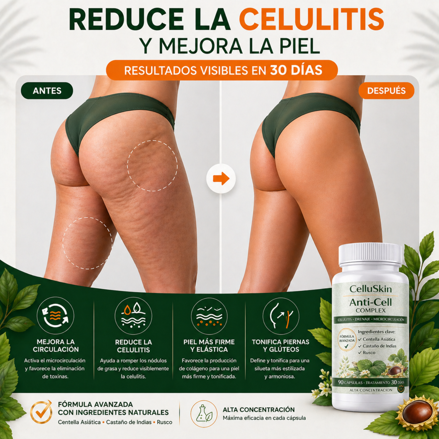 Suplemento alimenticio Mega Detox( 30 dosis)