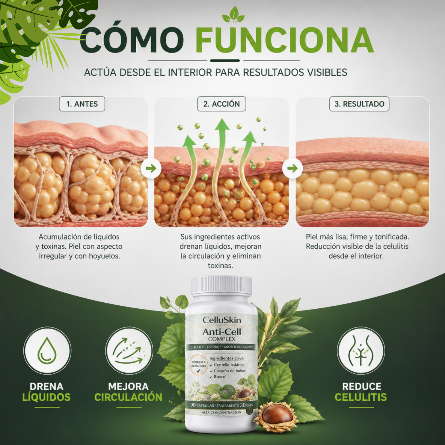 Suplemento alimenticio Mega Detox( 30 dosis)